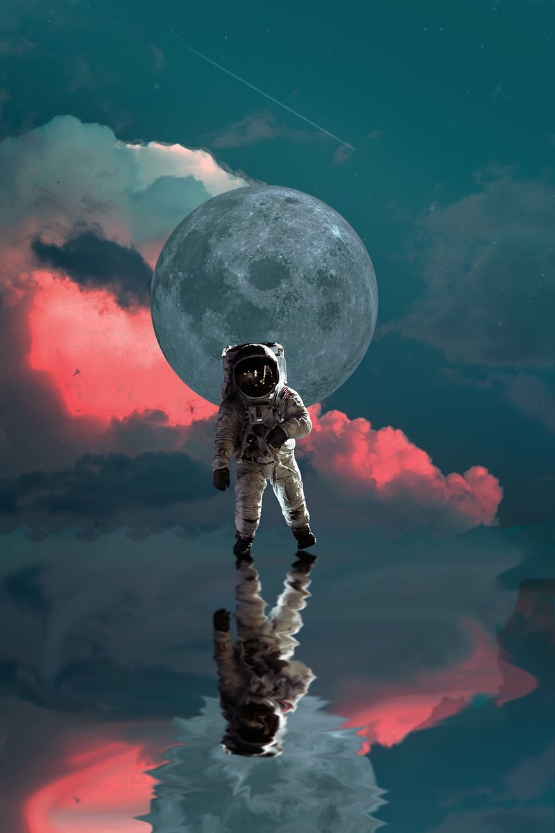 Parallel Universe Explorers